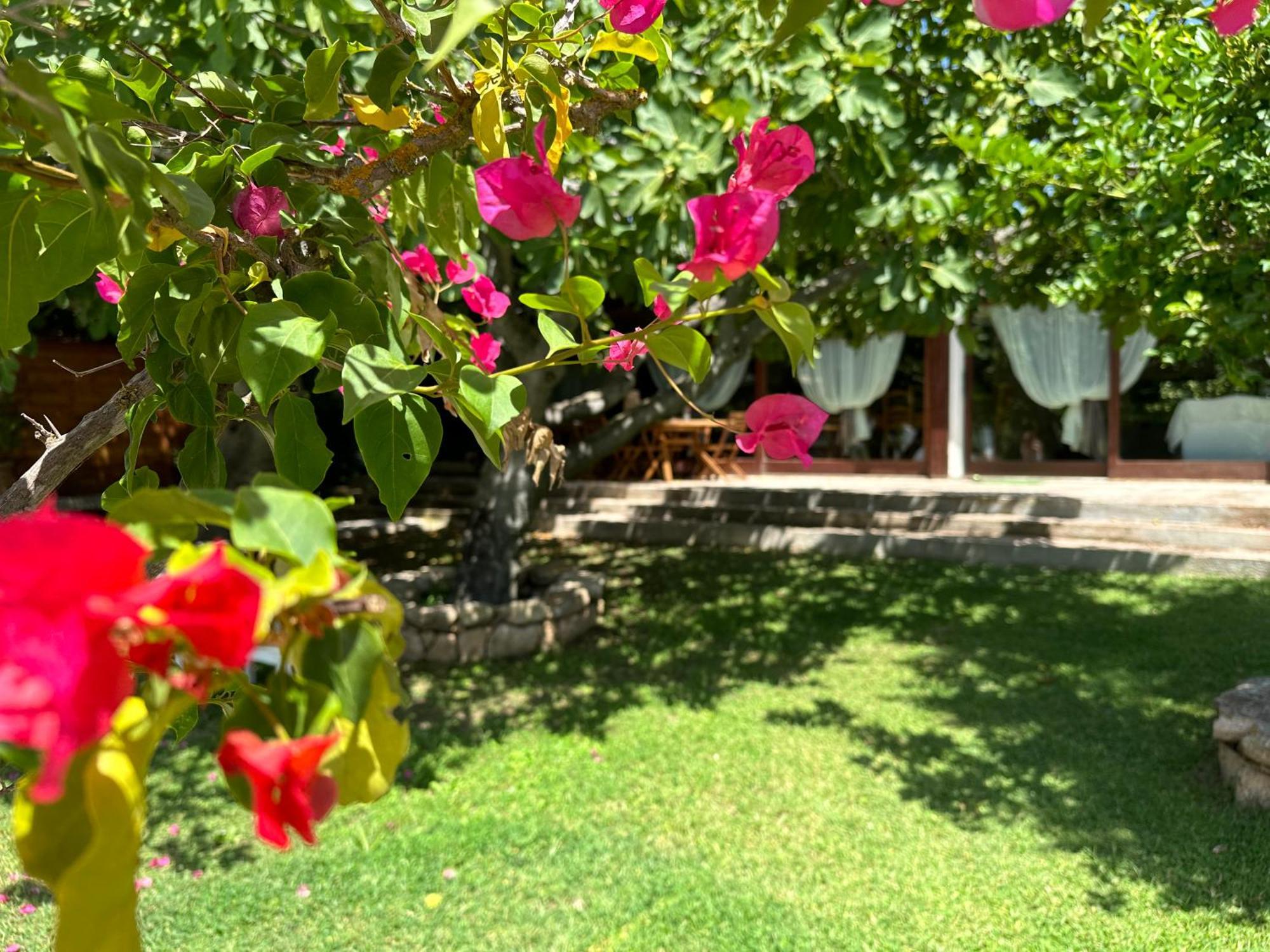 Villa Niloan *